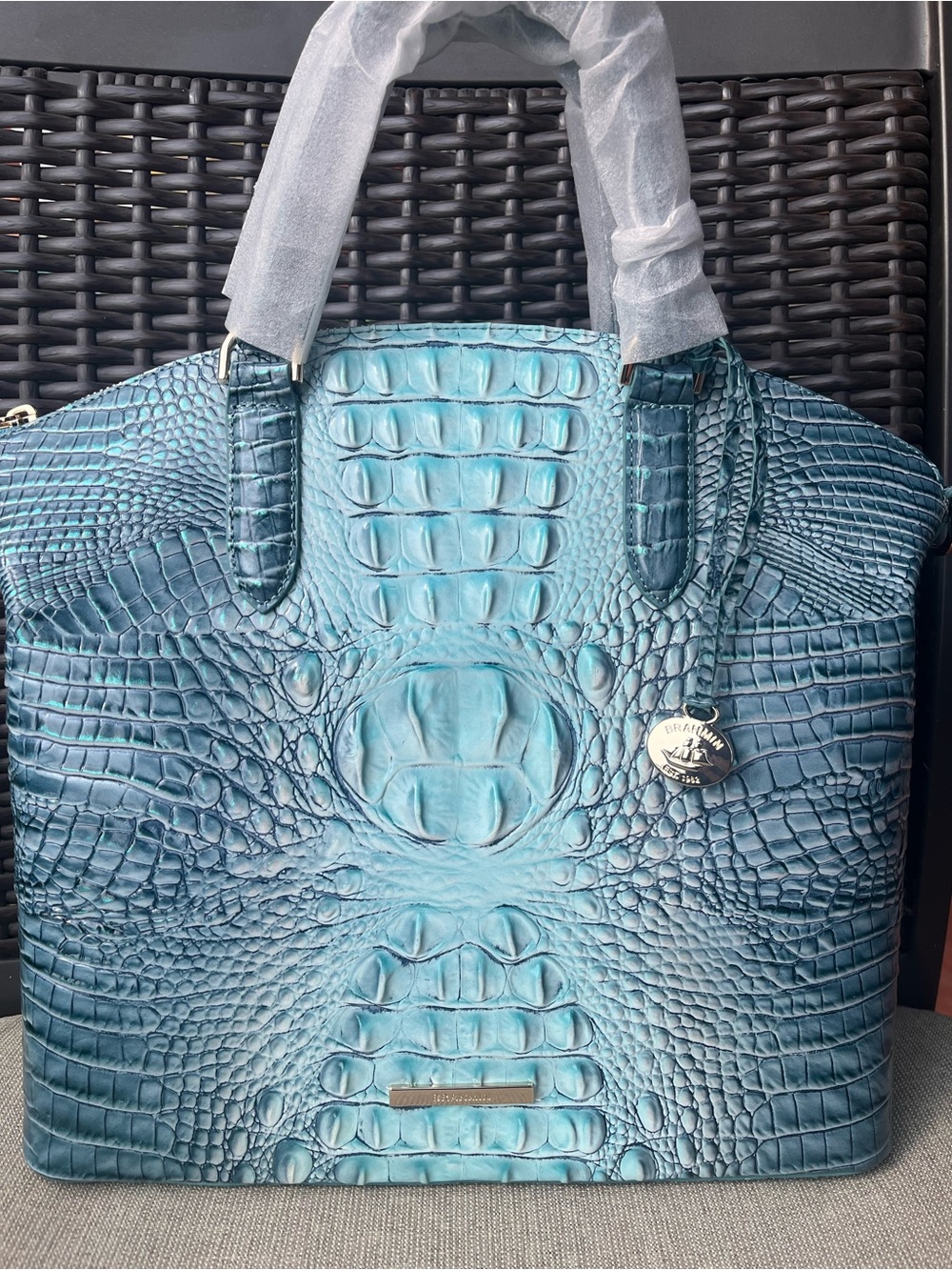 NWT Brahmin SPEARMINT Large Duxbury Ombre Melbourne Satchel